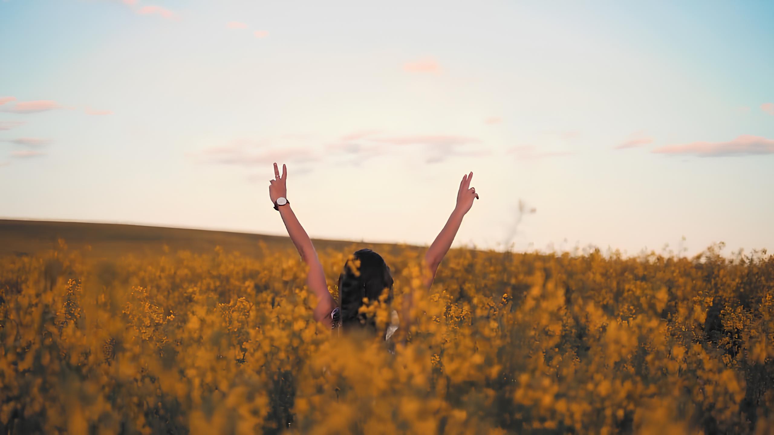 pessoas na mesa com notebooks e computadores se cumprimentando